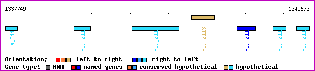 gene map