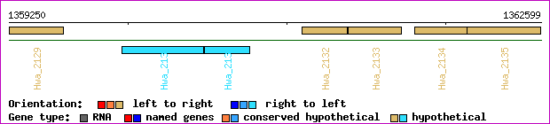 gene map