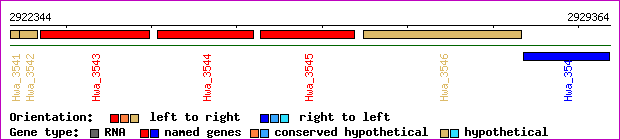 gene map
