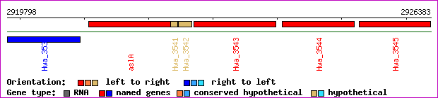 gene map