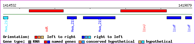 gene map