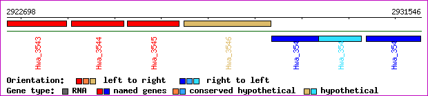 gene map
