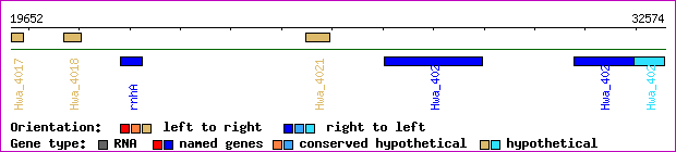 gene map