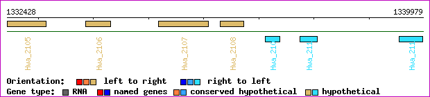 gene map