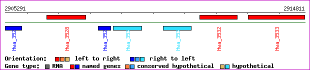 gene map