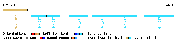 gene map