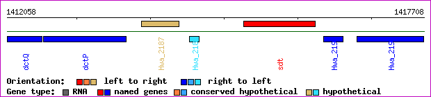 gene map