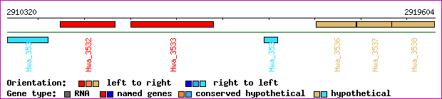 gene map
