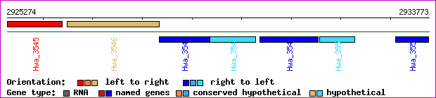 gene map