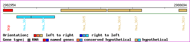 gene map