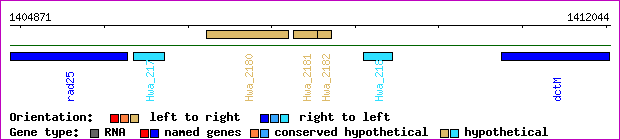 gene map