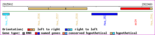 gene map