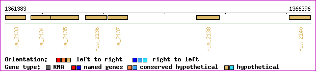 gene map
