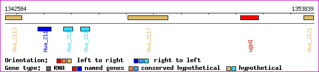 gene map