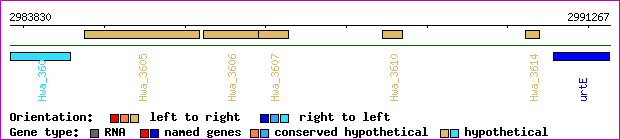 gene map