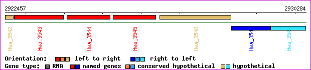 gene map