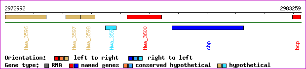 gene map