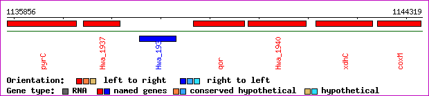 gene map