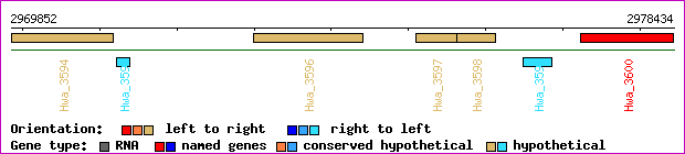 gene map