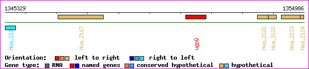 gene map