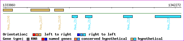 gene map