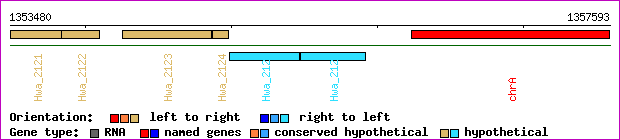 gene map