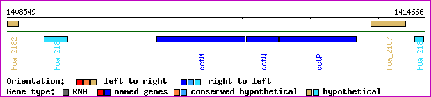 gene map