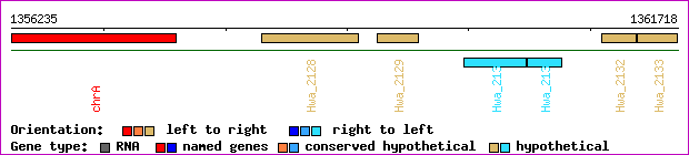 gene map