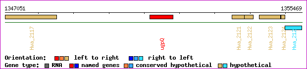 gene map