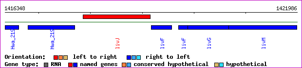 gene map