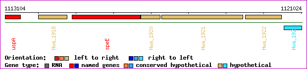 gene map