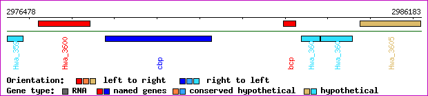 gene map