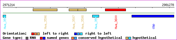 gene map