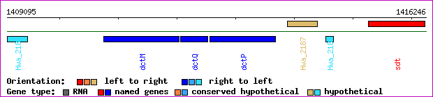 gene map