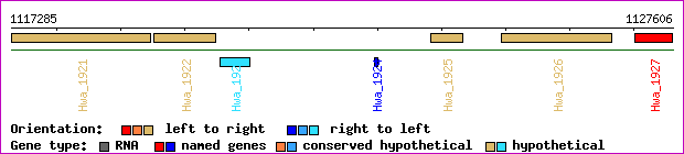 gene map