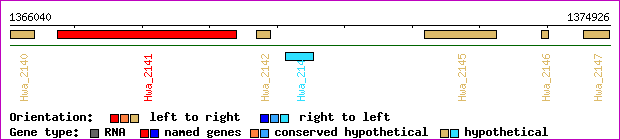 gene map
