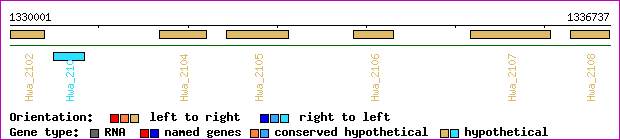 gene map
