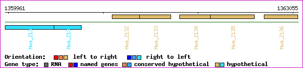 gene map