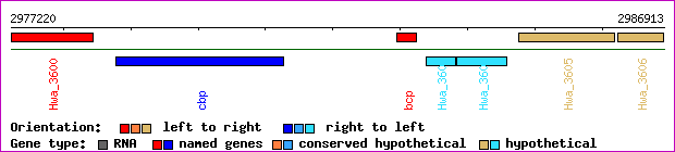 gene map