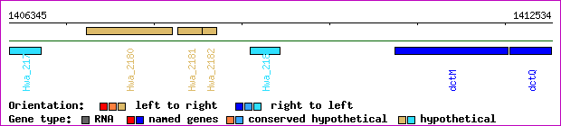gene map