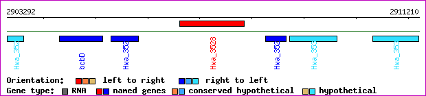 gene map