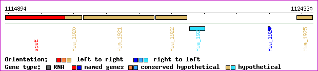 gene map