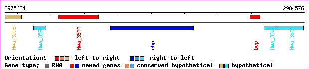 gene map