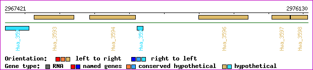 gene map