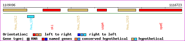 gene map