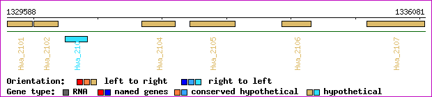 gene map