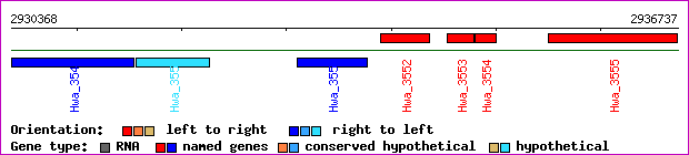 gene map