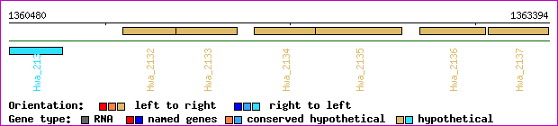 gene map