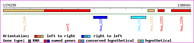 gene map