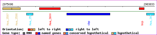 gene map
